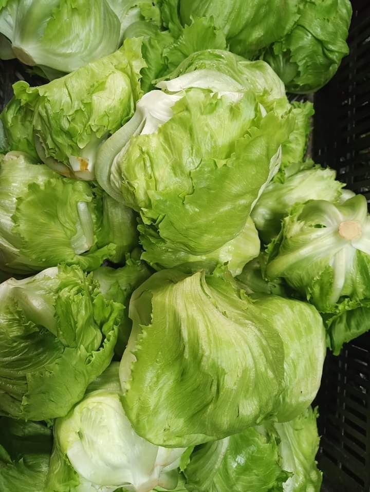 Top 5 loại rau củ an to&agrave;n bậc nhất trong m&ugrave;a lạnh- Ảnh 3.