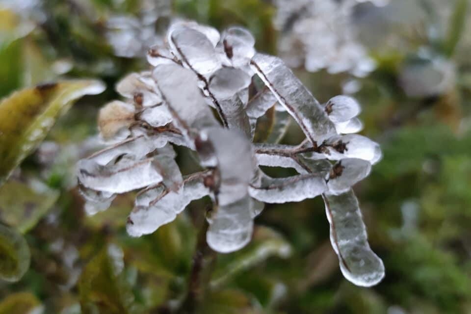 Ngo&agrave;i Fansipan, đ&acirc;y l&agrave; nơi lạnh kh&ocirc;ng k&eacute;m ở miền Bắc h&ocirc;m nay: Cũng l&agrave; n&uacute;i, nhiều năm c&oacute; băng gi&aacute;, tuyết- Ảnh 10.