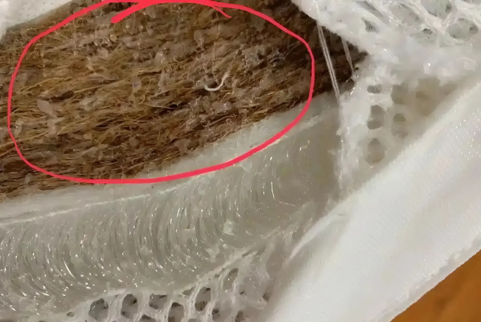 D&ugrave; gi&agrave;u hay ngh&egrave;o cũng n&ecirc;n sớm n&oacute;i lời tạm biệt với 5 m&oacute;n đồ độc hại n&agrave;y- Ảnh 3.