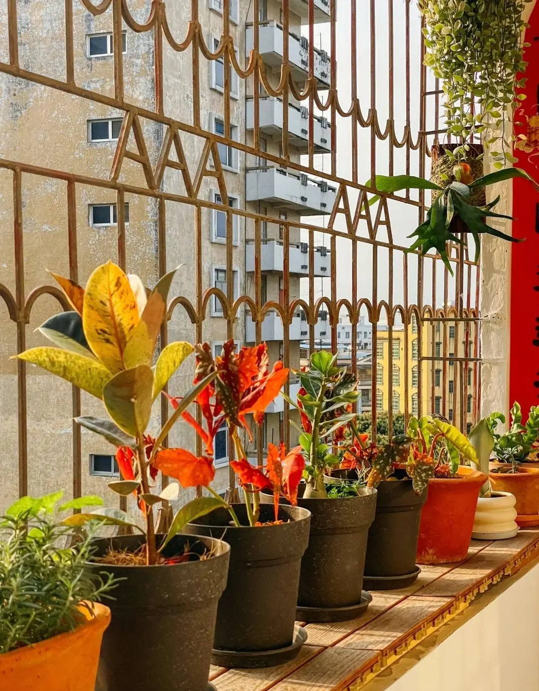 Tim đập loạn trước ng&ocirc;i nh&agrave; của b&agrave; cụ 75 tuổi: Sống 1 m&igrave;nh an y&ecirc;n, kh&ocirc;ng l&agrave;m g&aacute;nh nặng cho con ch&aacute;u- Ảnh 5.