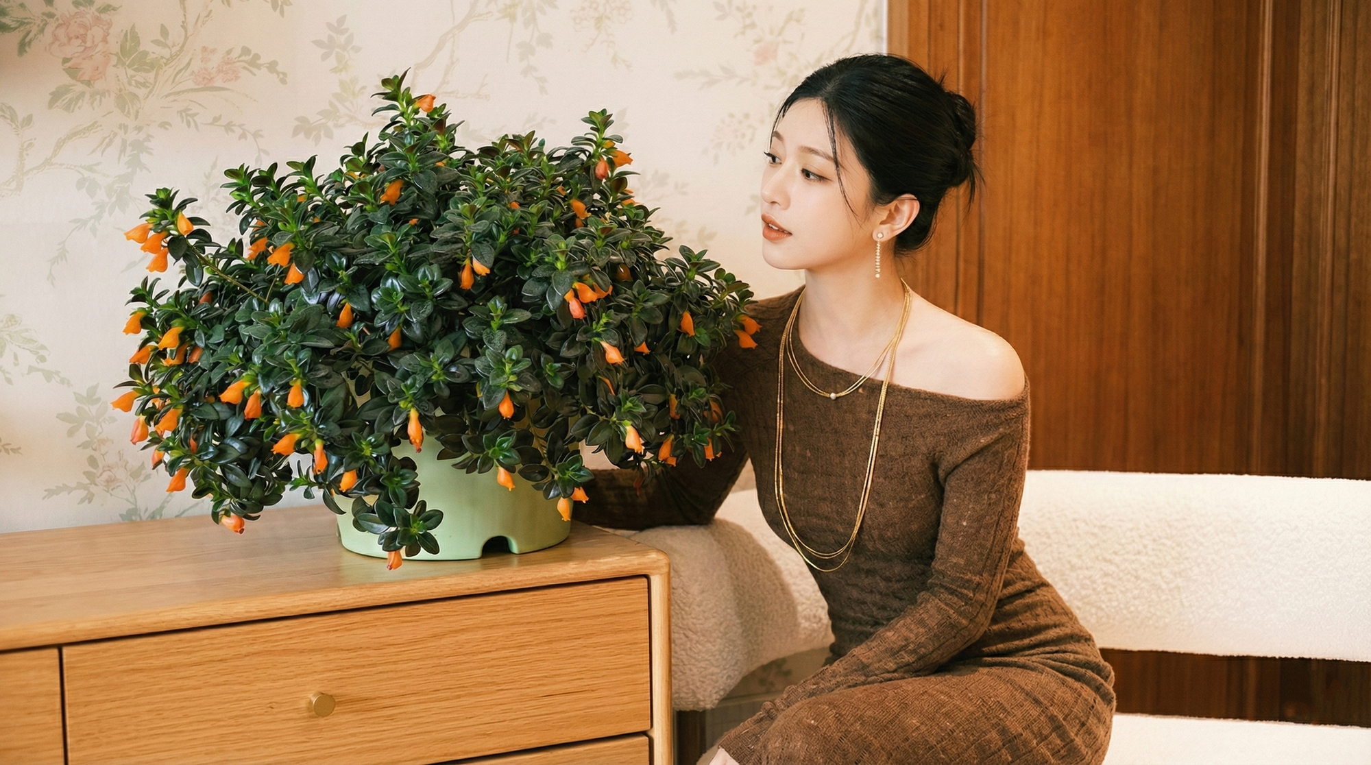 Trồng c&acirc;y 'c&aacute; v&agrave;ng' dịp cuối năm: Hoa nở như 'bơi' tiền v&agrave;o k&eacute;t, xả xui cực tốt m&agrave; t&ocirc;i trồng 6 năm vẫn m&ecirc;- Ảnh 1.