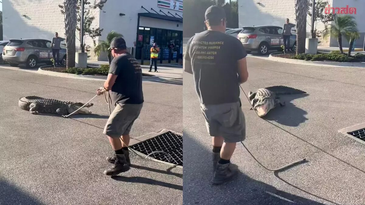 Đang đi đường, người d&acirc;n ph&aacute;t hiện cảnh tượng "nổi da g&agrave;"- Ảnh 1.