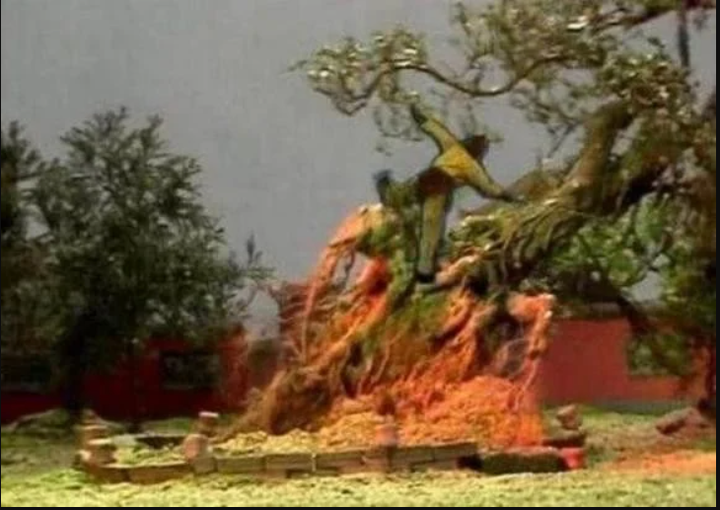 V&igrave; sao trong T&acirc;y Du K&yacute; chỉ Bồ T&aacute;t cứu được c&acirc;y nh&acirc;n s&acirc;m bị Ngộ Kh&ocirc;ng quật ng&atilde;?- Ảnh 2.