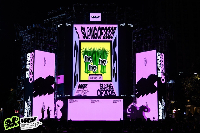 V&igrave; sao luỵ WeYoung 2025?- Ảnh 22.