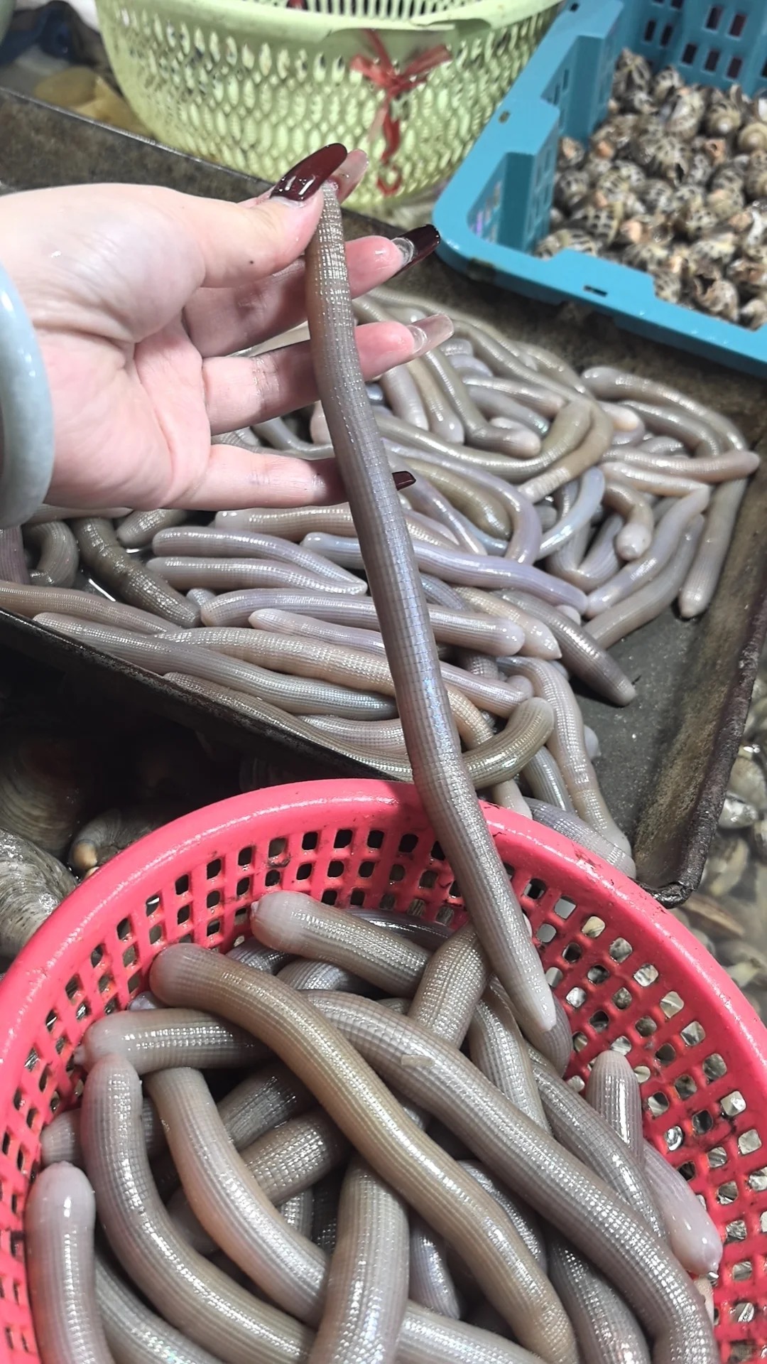 M&oacute;n ăn nh&igrave;n nổi da g&agrave; ăn ngọt lịm tim: Đặc sản khiến kh&aacute;ch Việt nhớ ngay đến 