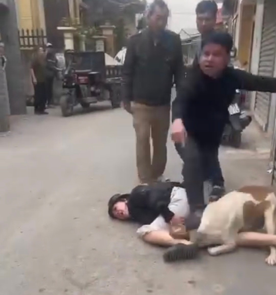 H&agrave; Nội: X&aacute;c minh th&ocirc;ng tin thả ch&oacute; cắn v&agrave;o mặt, ch&acirc;n người phụ nữ đi đường- Ảnh 1.