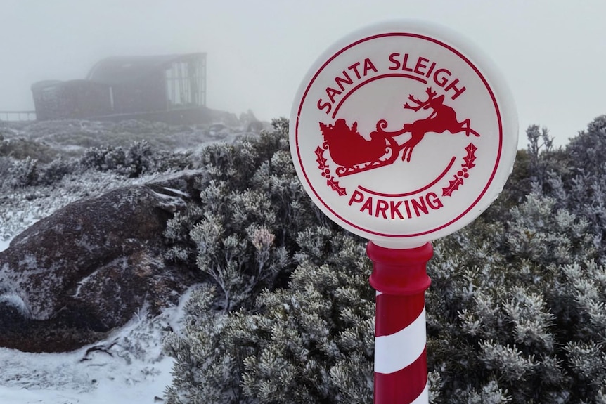 Nơi vừa c&oacute; tuyết rơi hiếm c&oacute; sau gần 20 năm!- Ảnh 5.