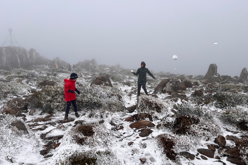 Nơi vừa c&oacute; tuyết rơi hiếm c&oacute; sau gần 20 năm!- Ảnh 9.