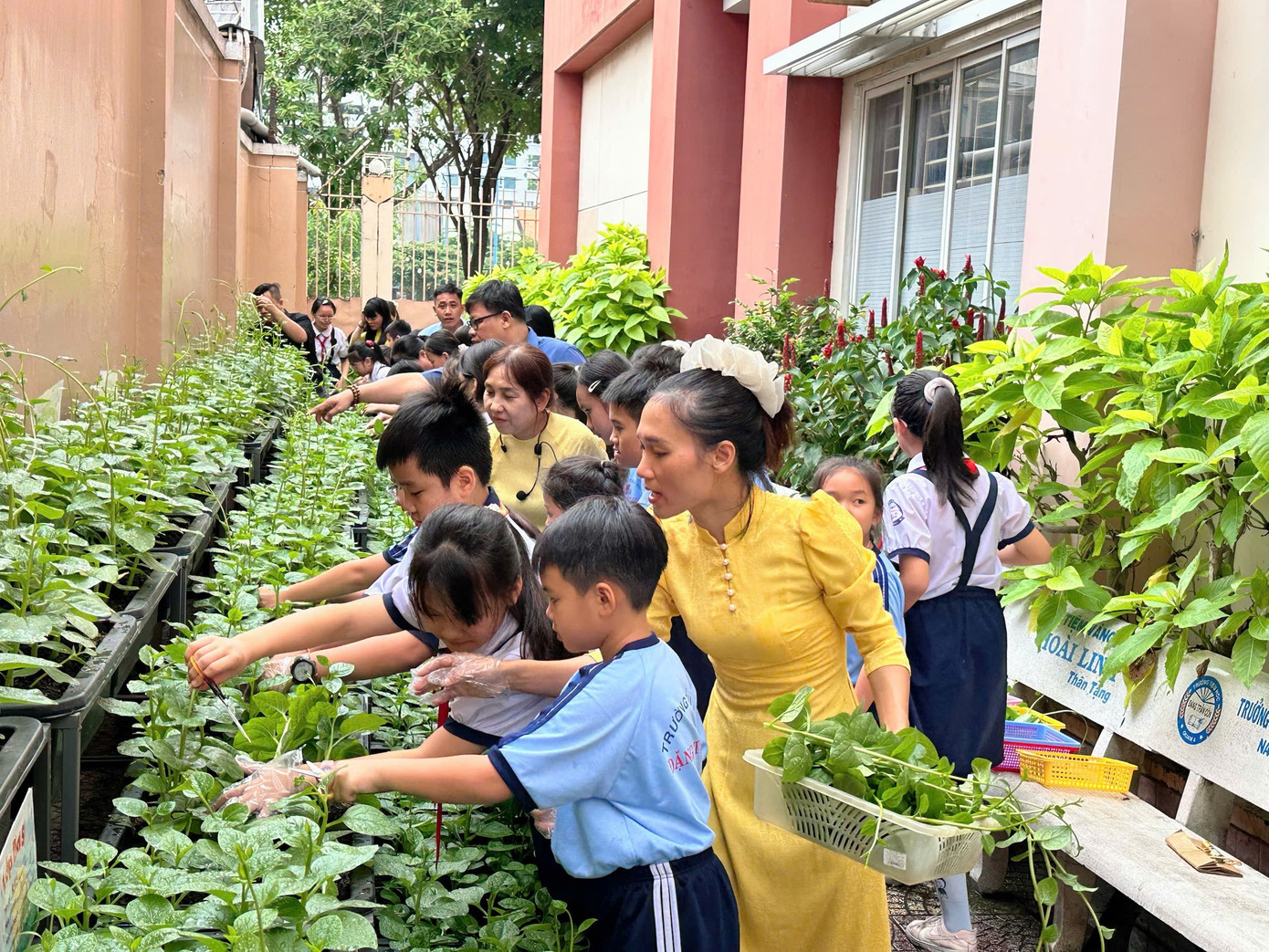 TPHCM: Hoa mắt với c&aacute;c khoản thu từ chương tr&igrave;nh học li&ecirc;n kết- Ảnh 1.