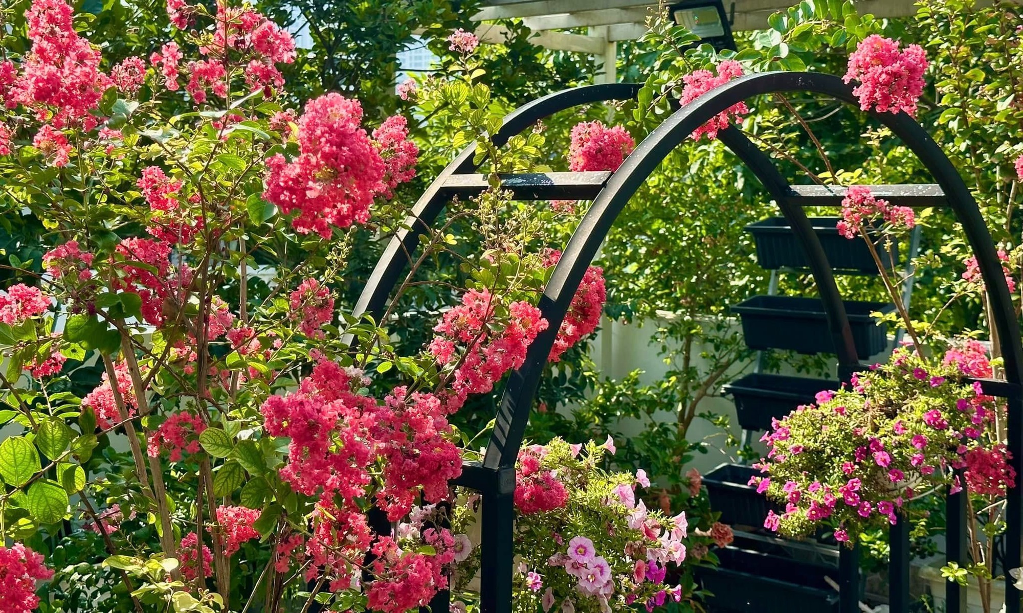 Thứ qu&yacute; gi&aacute; trong biệt thự 21 tỷ của MC Quyền Linh- Ảnh 6.