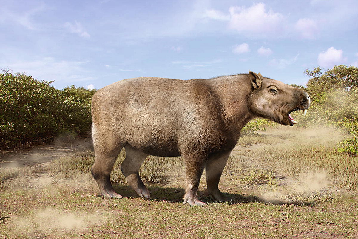 Lo&agrave;i chuột khổng lồ nặng 1 tấn, d&agrave;i 3 m&eacute;t, to ngang con tr&acirc;u mộng- Ảnh 2.