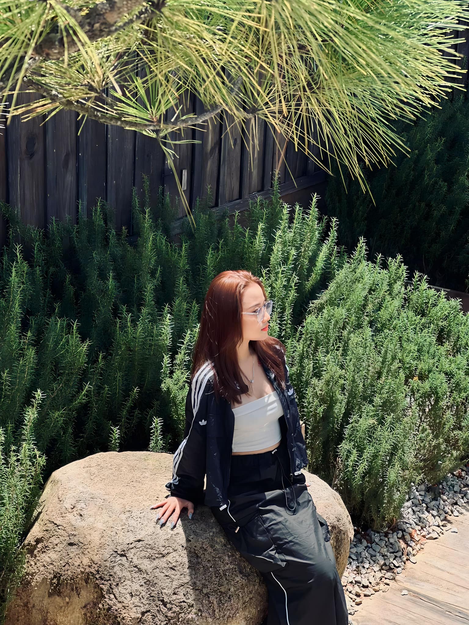 Đ&aacute;m cưới ch&aacute;u nội danh ca Chế Linh: Nhan sắc c&ocirc; d&acirc;u kh&ocirc;ng một điểm trừ, th&acirc;n thế ch&uacute; rể g&acirc;y bất ngờ lớn- Ảnh 10.