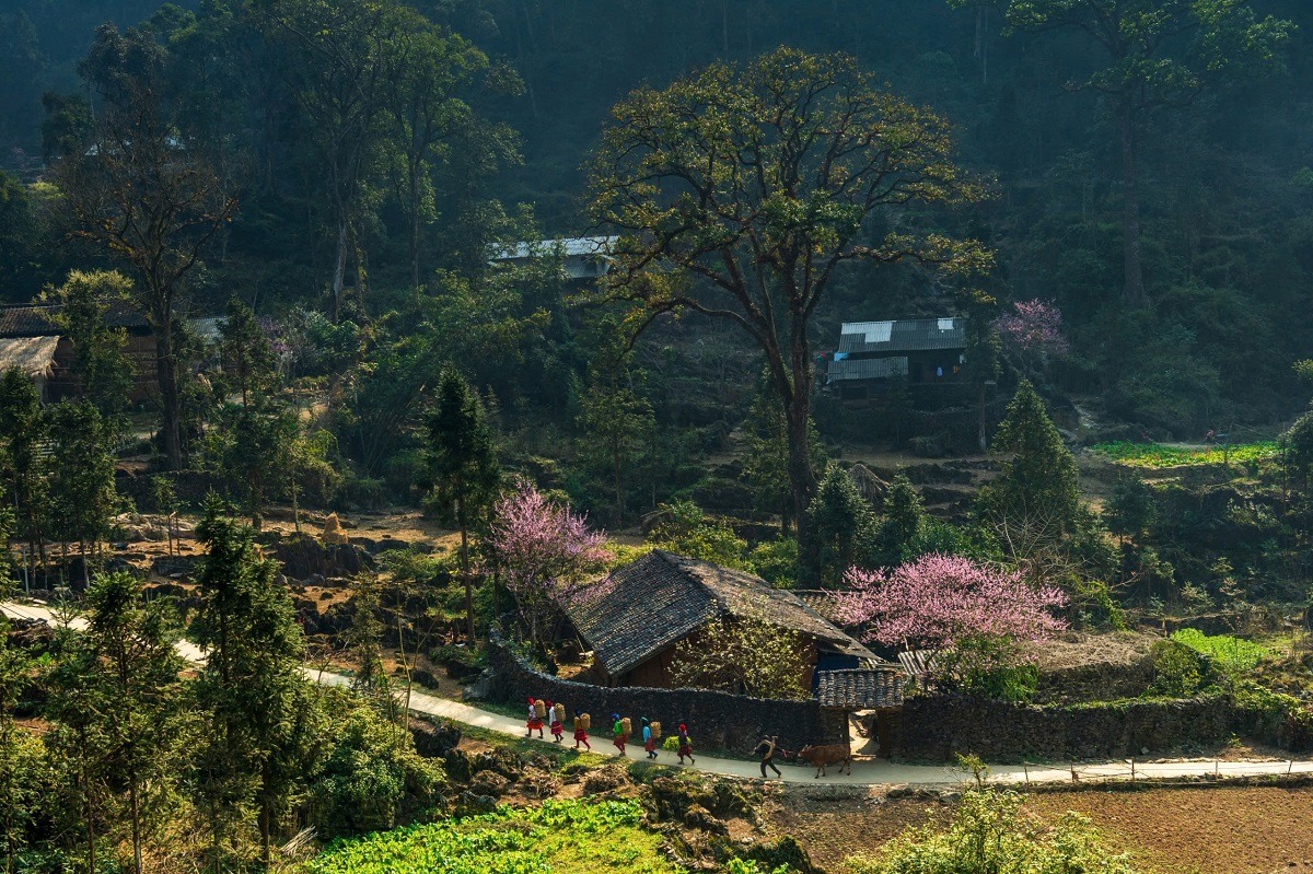Cảnh b&aacute;o n&oacute;ng khi đặt ph&ograve;ng kh&aacute;ch sạn dịp Tết- Ảnh 1.