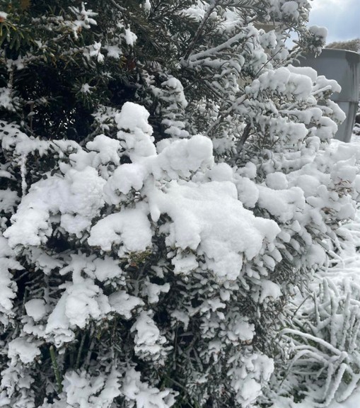 Nơi vừa c&oacute; tuyết rơi hiếm c&oacute; sau gần 20 năm!- Ảnh 1.