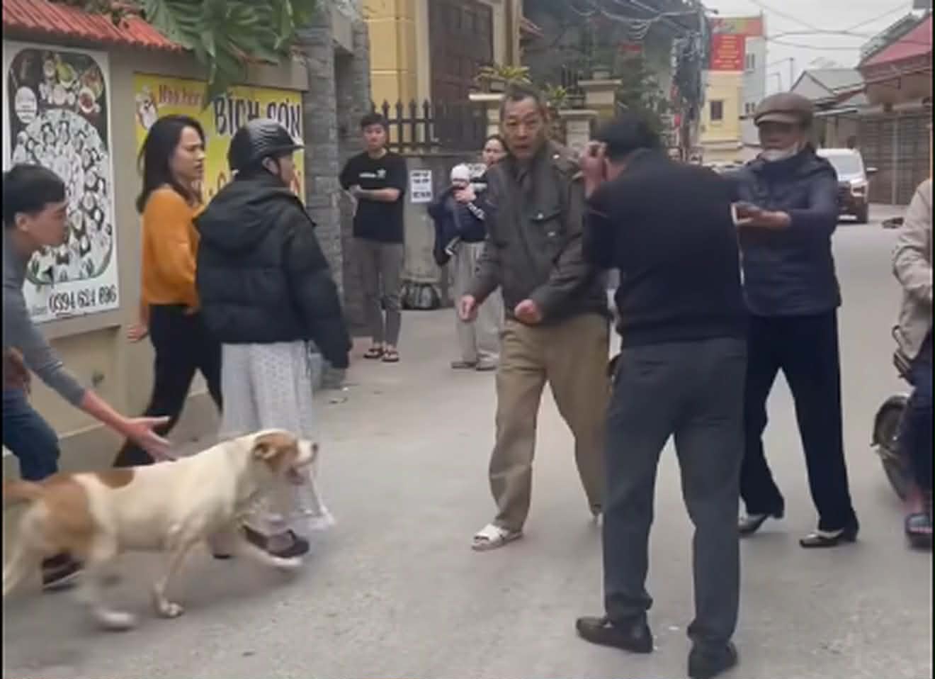 Vụ thả ch&oacute; cắn người nhập viện ở H&agrave; Nội: Nạn nh&acirc;n kể chi tiết- Ảnh 1.