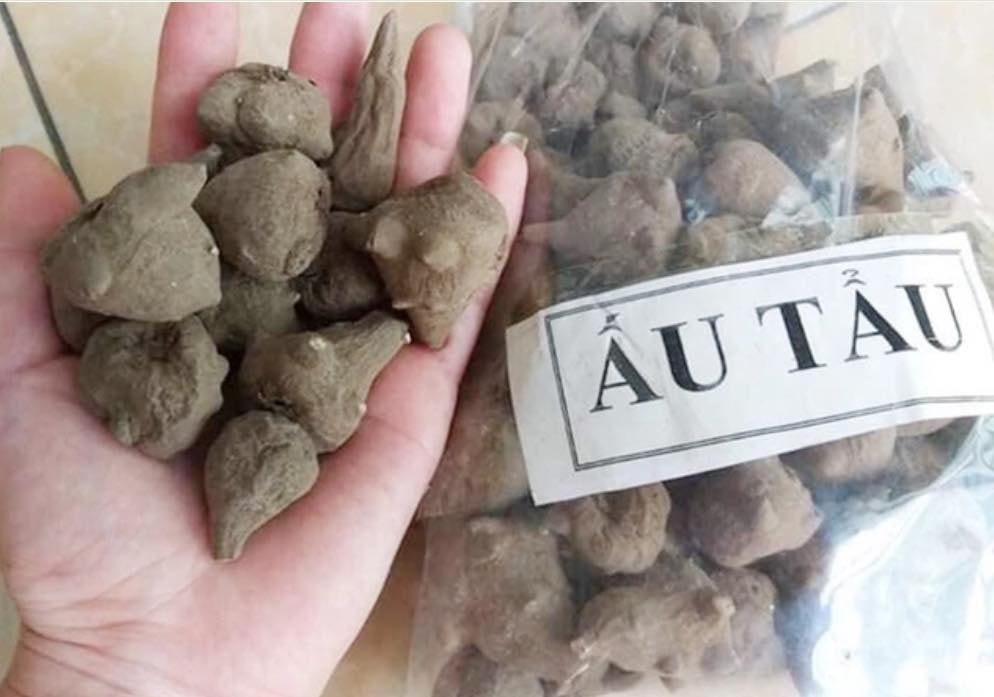 Sau b&aacute;t canh "quen thuộc", bệnh nh&acirc;n rơi v&agrave;o t&igrave;nh trạng ngộ độc nguy hiểm- Ảnh 1.