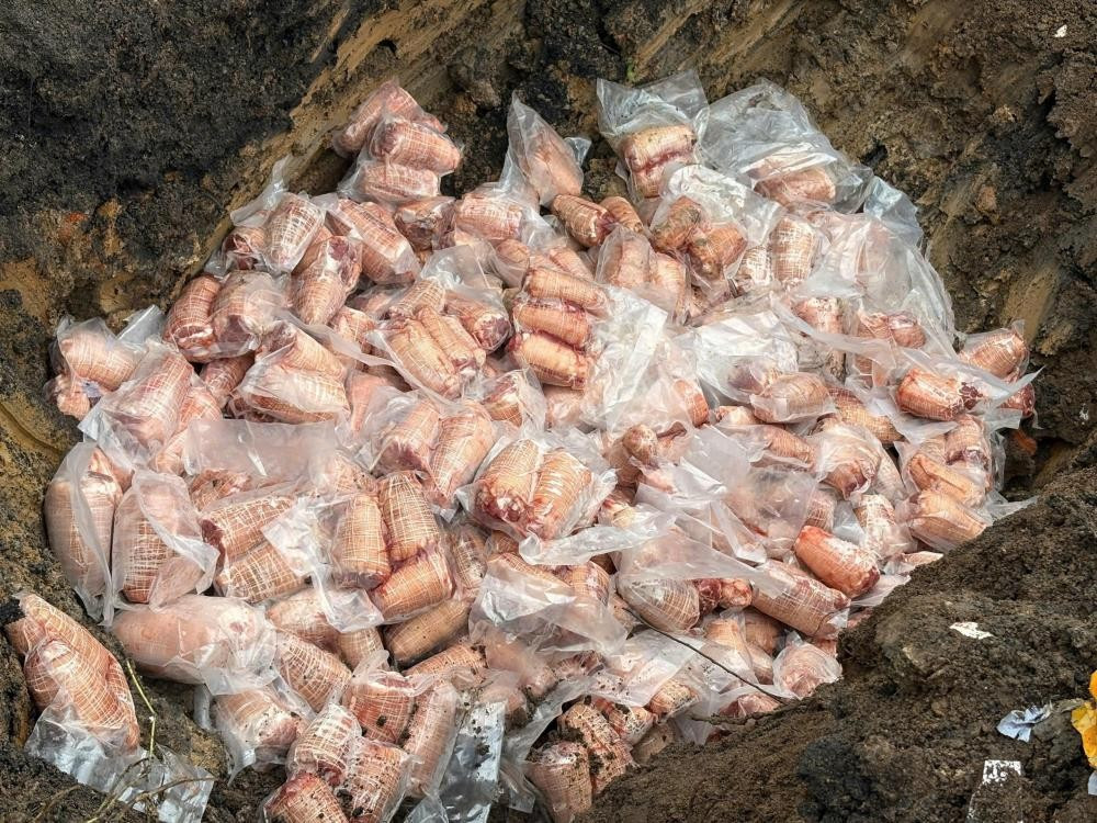 Ph&aacute;t hiện 200 kg bắp heo kh&ocirc;ng nguồn gốc tr&ecirc;n xe tải- Ảnh 2.