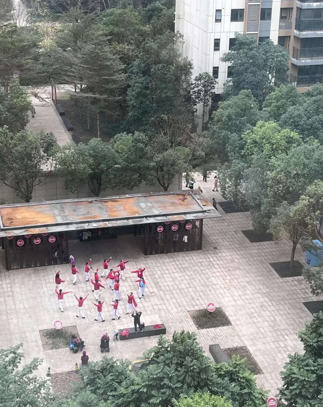 B&aacute;n căn hộ tầng 28 sau 7 năm đầy &aacute;m ảnh, t&ocirc;i chuyển xuống tầng 8 v&agrave; sốc v&igrave; kh&aacute;c biệt: Chọn sai tầng c&oacute; thể ph&aacute; hỏng cả cuộc sống- Ảnh 4.