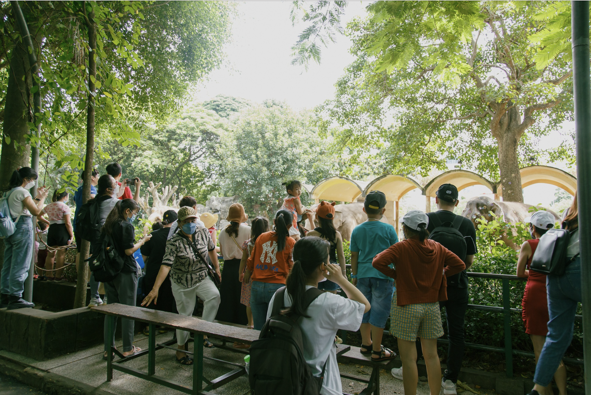 Cuối năm, Thảo Cầm Vi&ecirc;n tung "s&iacute;t rịt" khiến d&acirc;n t&igrave;nh rủ nhau đi chơi tối- Ảnh 3.