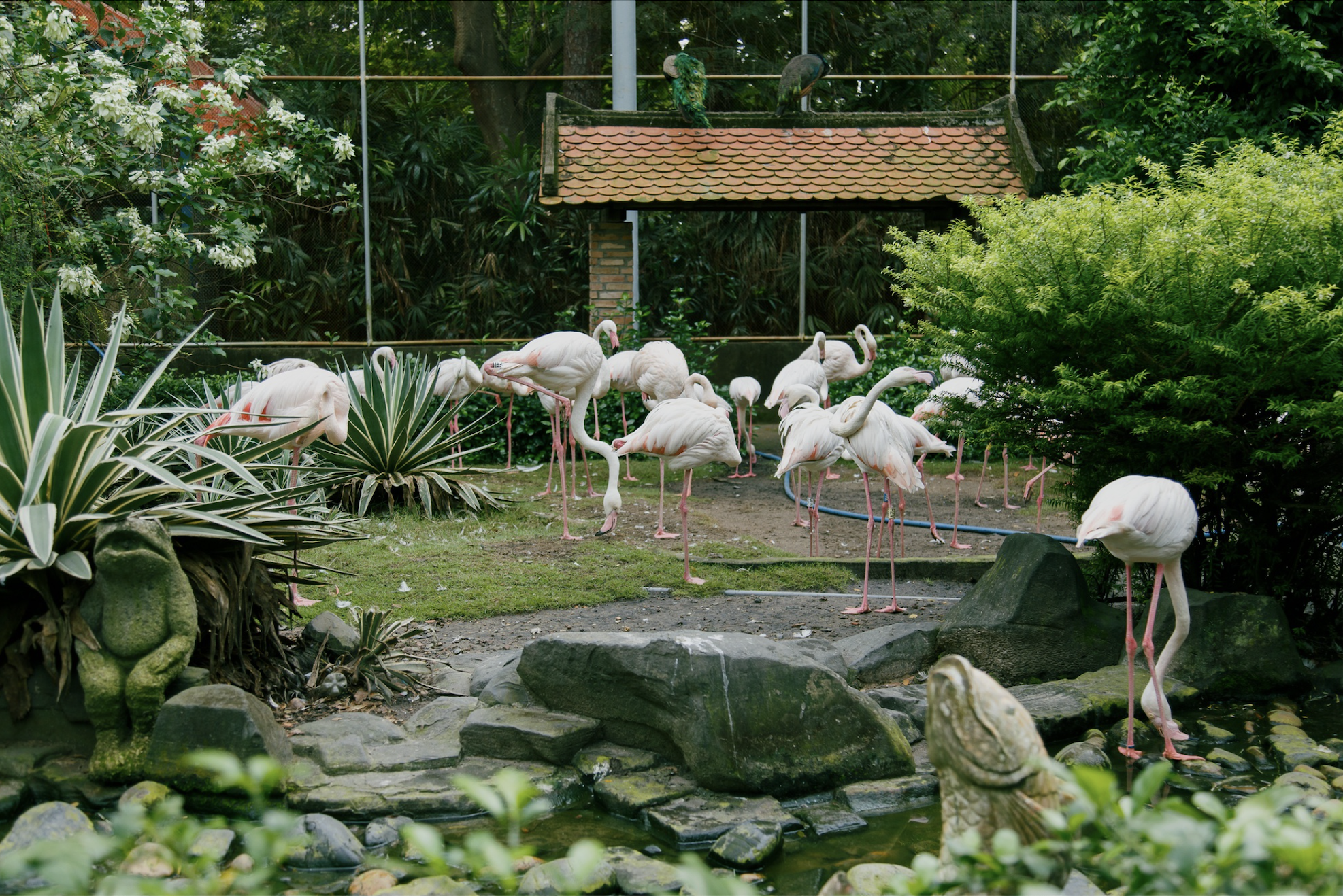 Cuối năm, Thảo Cầm Vi&ecirc;n tung "s&iacute;t rịt" khiến d&acirc;n t&igrave;nh rủ nhau đi chơi tối- Ảnh 2.