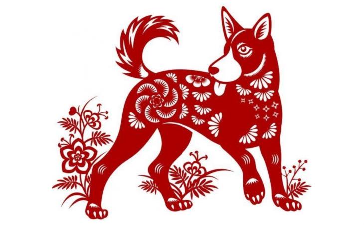 3 con gi&aacute;p sau đ&uacute;ng chuẩn "cần c&ugrave; b&ugrave; th&ocirc;ng minh": Tuổi gi&agrave; đổi vận, gia sản đồ sộ nhờ tuổi trẻ chăm t&iacute;ch luỹ kiến thức- Ảnh 1.