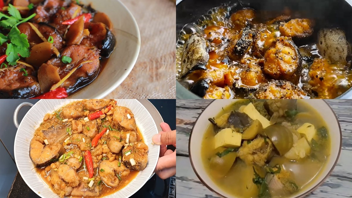 Việt Nam có loại cá người Trung Quốc ví ‘bổ ngang vi cá mập’: Cực tốt cho nam giới mà hay bị chê ‘bẩn’- Ảnh 2. Việt Nam có loại cá người Trung Quốc ví ‘bổ ngang vi cá mập’: Cực tốt cho nam giới mà hay bị chê ‘bẩn’- Ảnh 2.