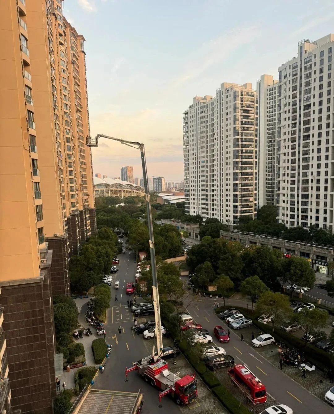 B&aacute;n căn hộ tầng 28 sau 7 năm đầy &aacute;m ảnh, t&ocirc;i chuyển xuống tầng 8 v&agrave; sốc v&igrave; kh&aacute;c biệt: Chọn sai tầng c&oacute; thể ph&aacute; hỏng cả cuộc sống- Ảnh 5.