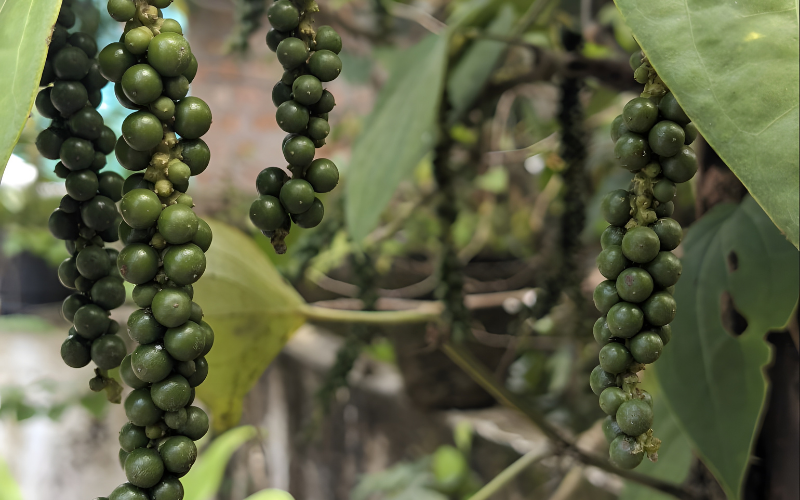 Đừng chỉ d&ugrave;ng theo th&oacute;i quen, hiểu đ&uacute;ng về 