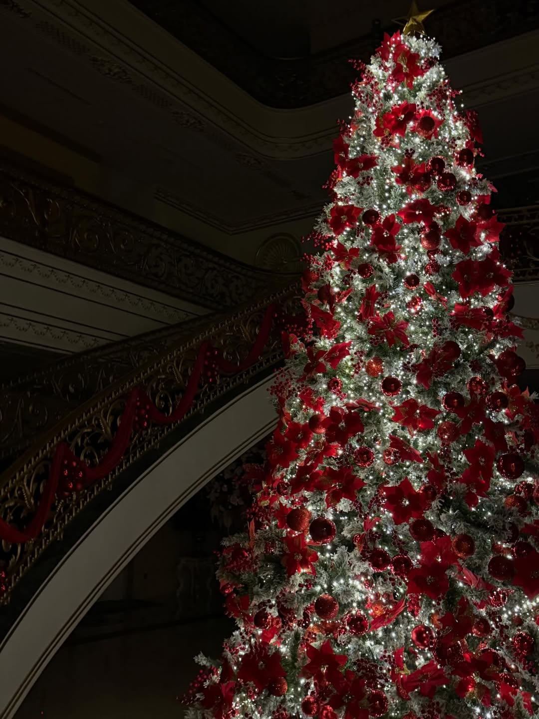 Hội h&agrave;o m&ocirc;n 