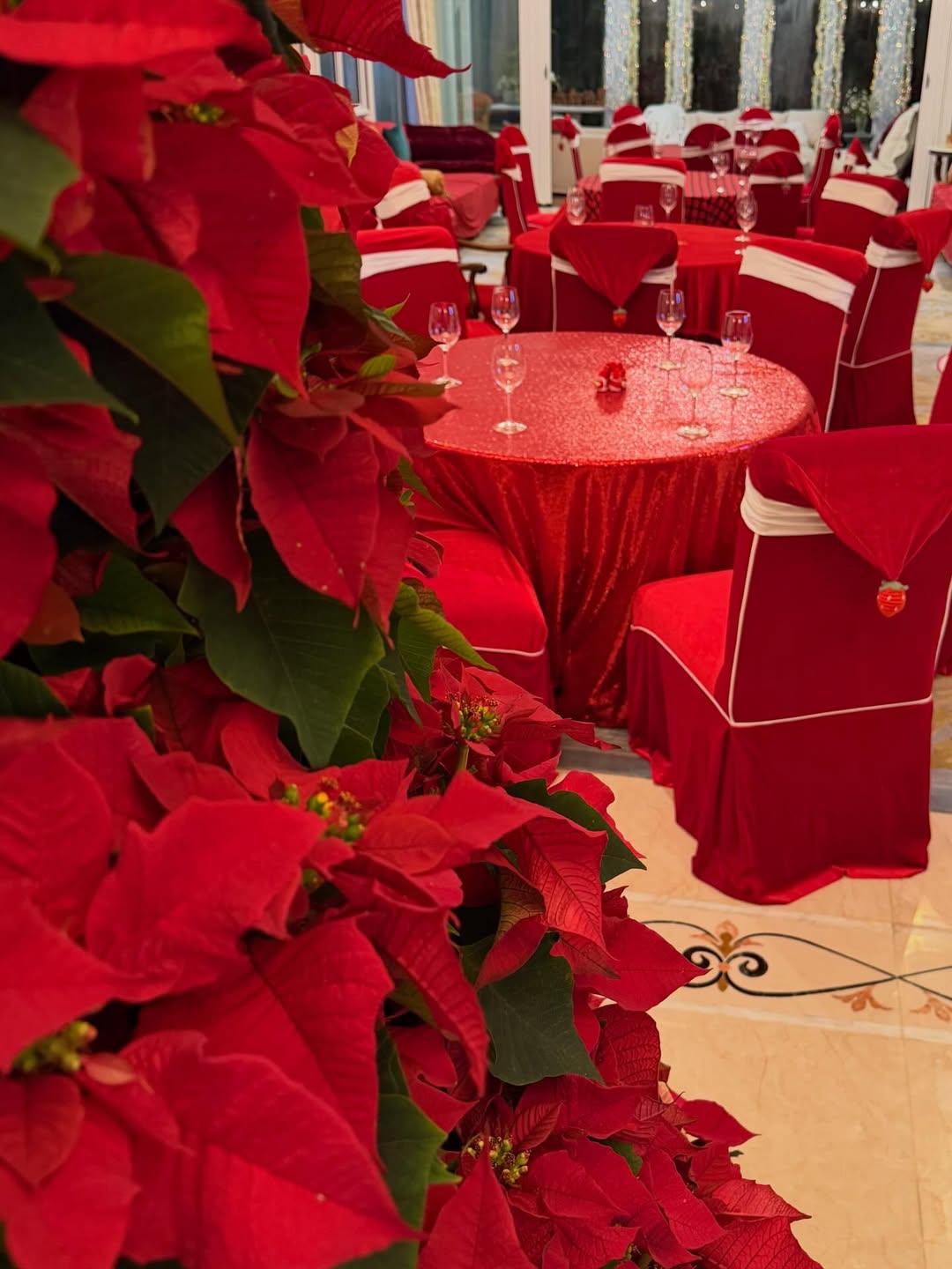 Hội h&agrave;o m&ocirc;n 