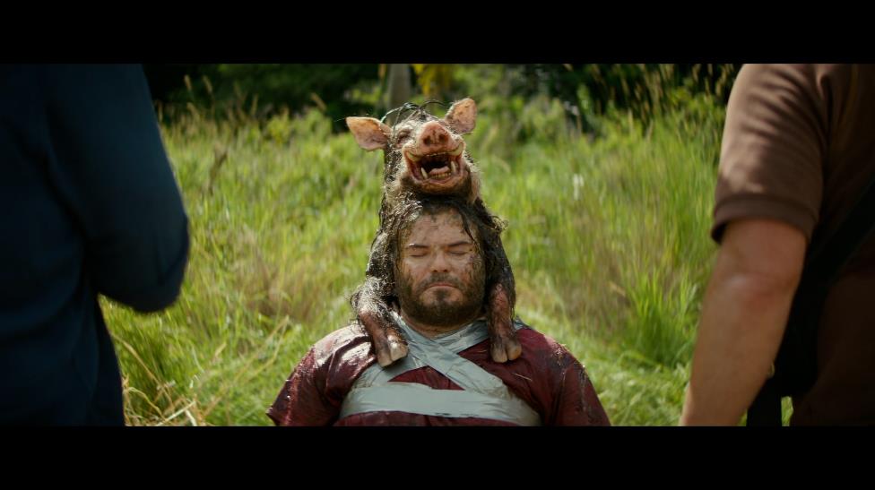 Khi &ldquo;Đụng Độ Si&ecirc;u Trăn&rdquo; trở th&agrave;nh cuộc phi&ecirc;u lưu giải tr&iacute; nhẹ nh&agrave;ng- Ảnh 6.