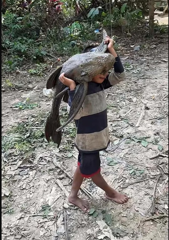 Cậu b&eacute; 5 tuổi gồng m&igrave;nh v&aacute;c con 