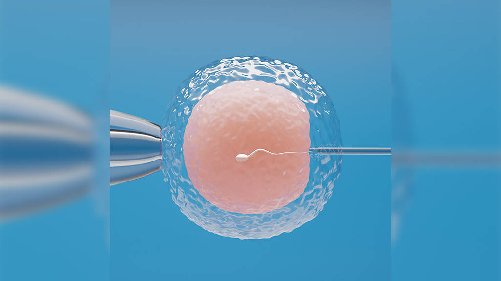 Trữ đ&ocirc;ng trứng: Đ&acirc;u l&agrave; "thời điểm v&agrave;ng" để giữ lại cơ hội l&agrave;m mẹ trong tương lai?- Ảnh 2.