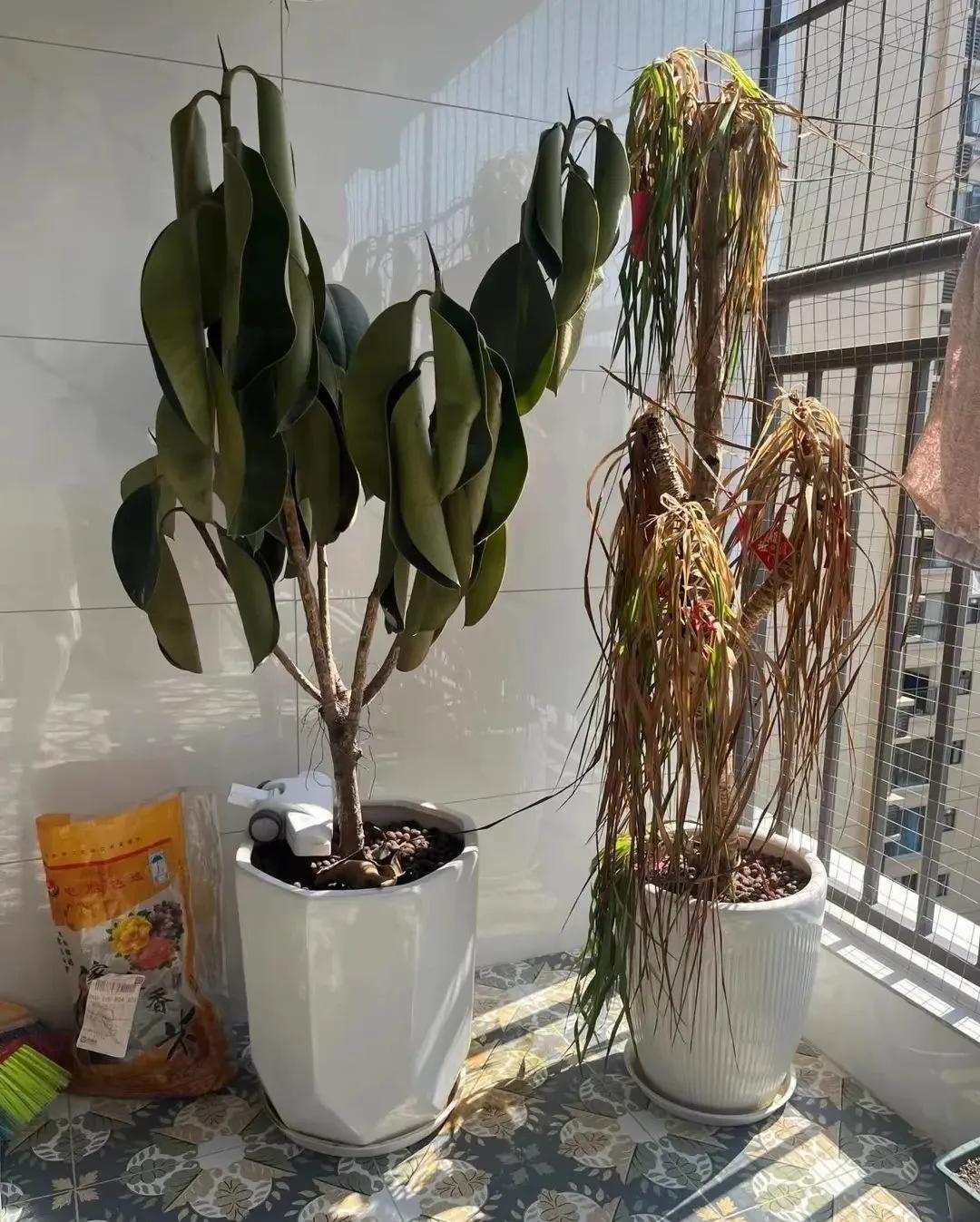 Dọn dẹp cuối năm: Vứt ngay 7 thứ n&agrave;y nếu kh&ocirc;ng muốn mang xui xẻo - thất tho&aacute;t tiền bạc sang năm mới- Ảnh 7.