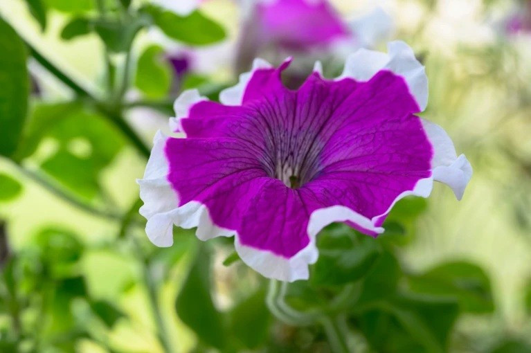 Những &yacute; tưởng 'đi&ecirc;n rồ' thay đổi thế giới- Ảnh 5.