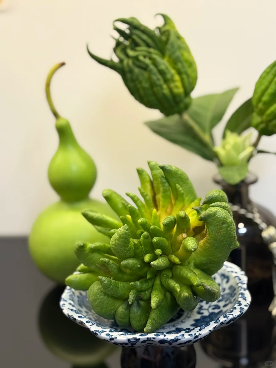 Tết n&agrave;y hội 