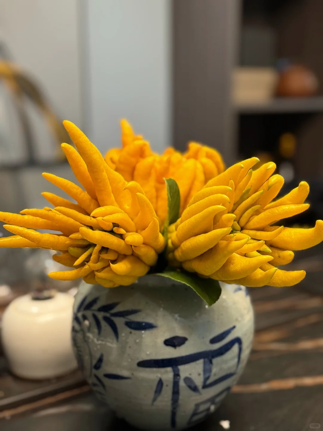 Tết n&agrave;y hội 