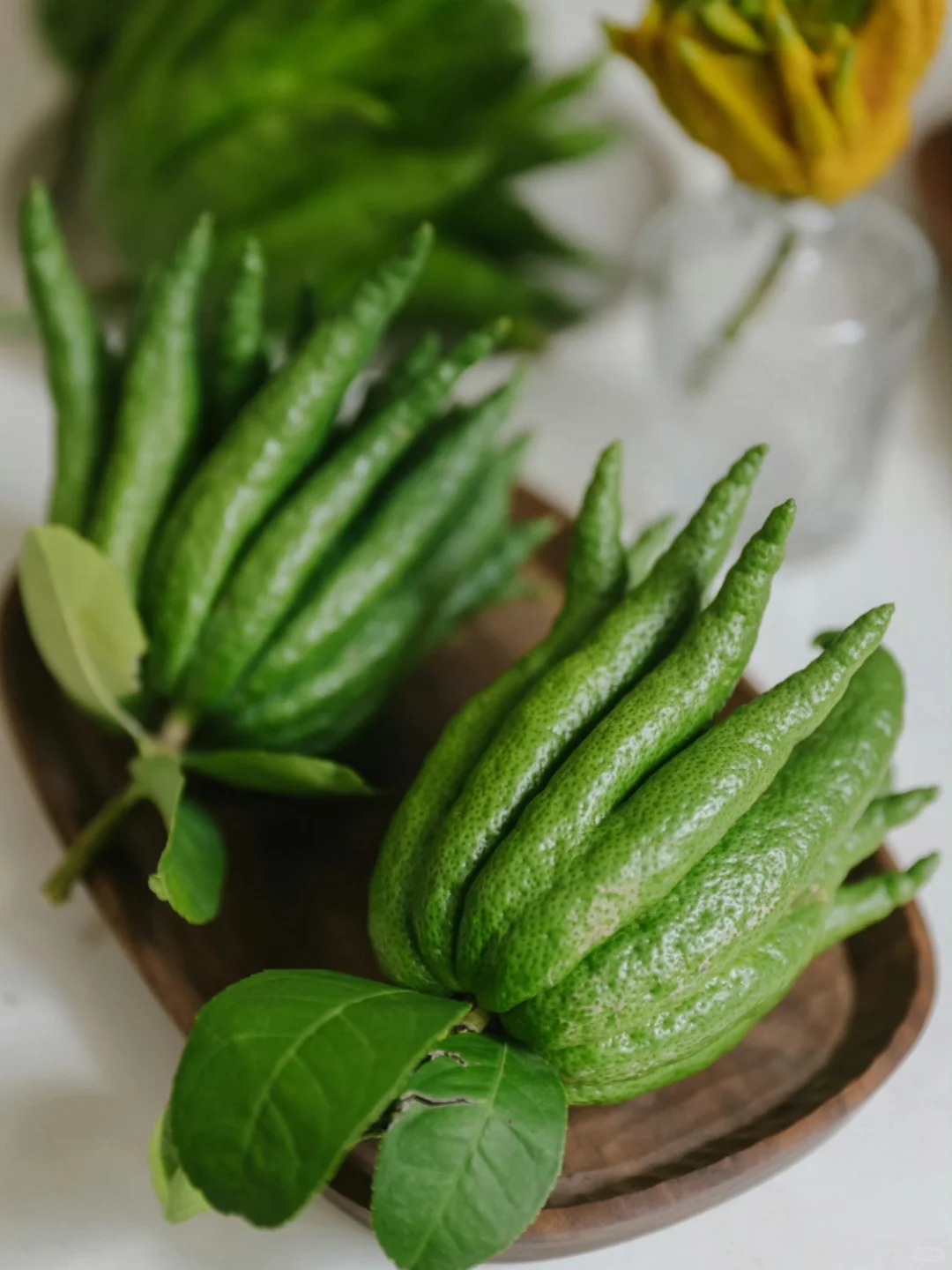 Tết n&agrave;y hội 