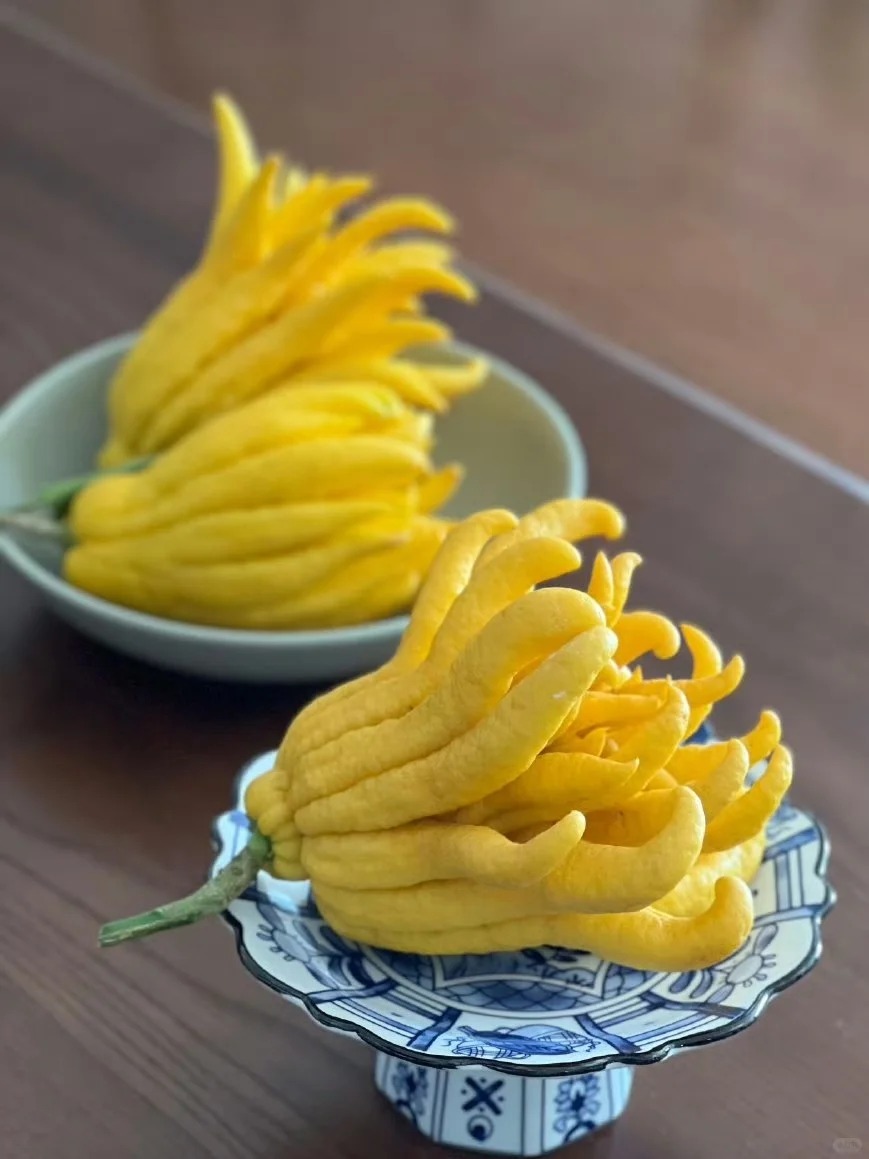 Tết n&agrave;y hội 