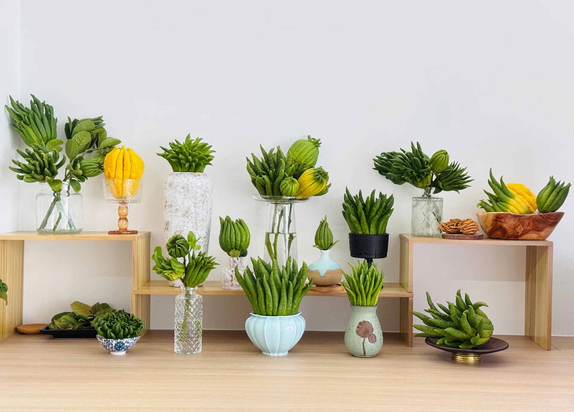 Tết n&agrave;y hội 