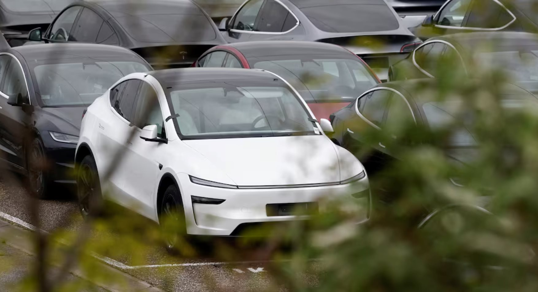 Ng&atilde; ngửa với h&oacute;a đơn 10 năm 'nu&ocirc;i' &ocirc; t&ocirc;- Ảnh 1.