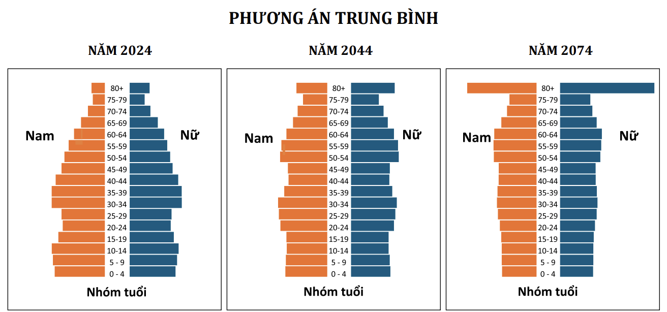 Thời kỳ d&acirc;n số v&agrave;ng của Việt Nam sắp kh&eacute;p lại- Ảnh 1.