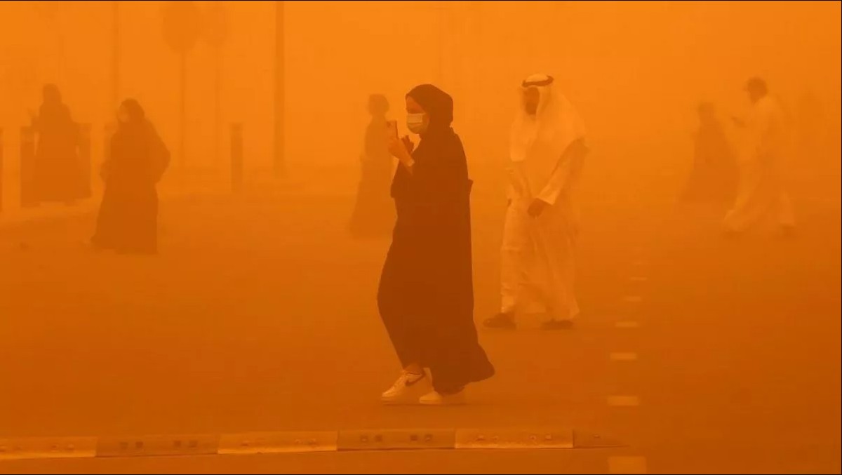 Th&agrave;nh phố n&oacute;ng nhất thế giới: C&aacute; bị luộc ch&iacute;n, chim rơi xuống đất m&agrave; con người vẫn b&aacute;m trụ bằng c&aacute;ch n&agrave;y- Ảnh 6.