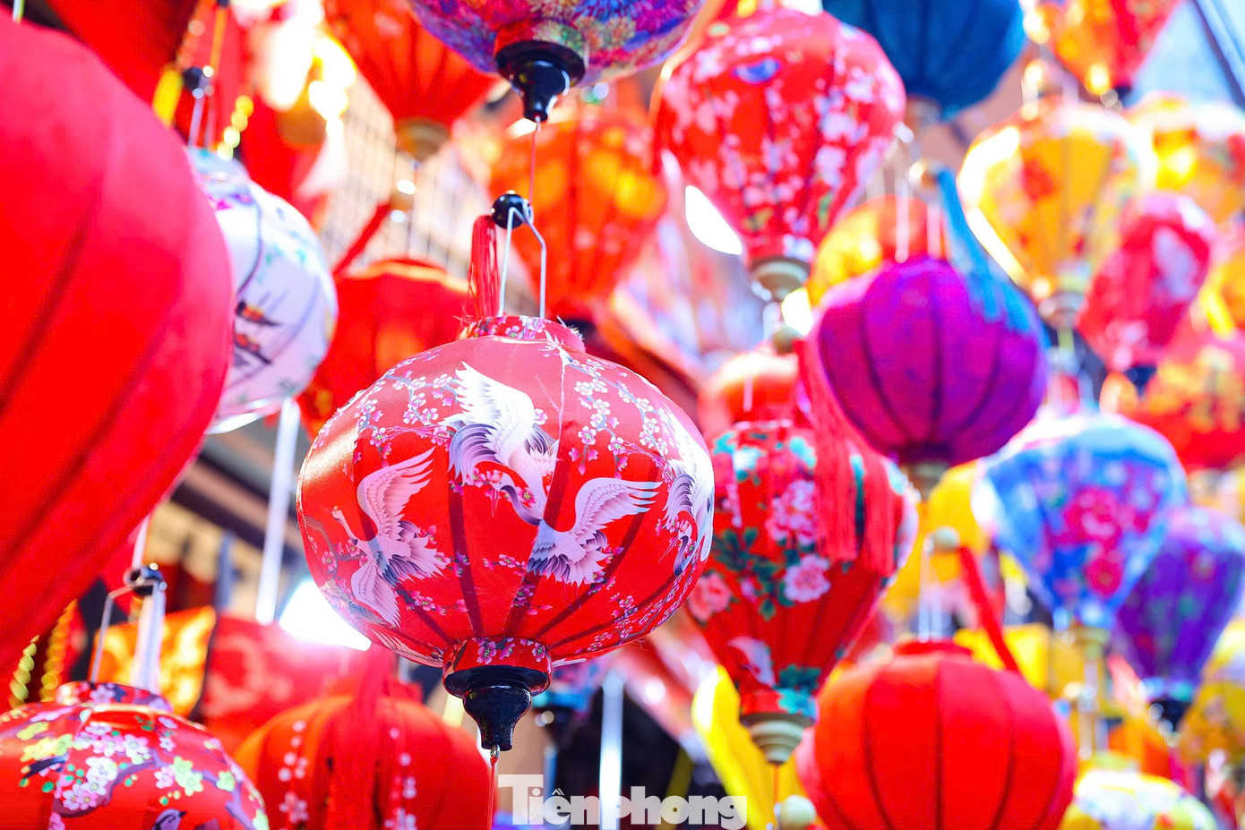 Kh&aacute;ch T&acirc;y th&iacute;ch th&uacute; trải nghiệm kh&ocirc;ng kh&iacute; Tết sớm tr&ecirc;n phố H&agrave;ng M&atilde;- Ảnh 11.