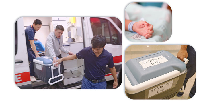 Ph&iacute;a sau cuộc đại phẫu cứu b&eacute; trai 15 th&aacute;ng tuổi từ 'l&aacute; gan chia đ&ocirc;i' của người hiến chết n&atilde;o- Ảnh 2.