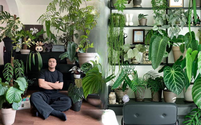 Bỏ phố về... ban c&ocirc;ng: Ch&agrave;ng trai 9x chia sẻ b&iacute; k&iacute;p "mang rừng về phố", chỉ 3 quy tắc sắp xếp l&agrave; c&oacute; ngay g&oacute;c chill triệu like- Ảnh 1.