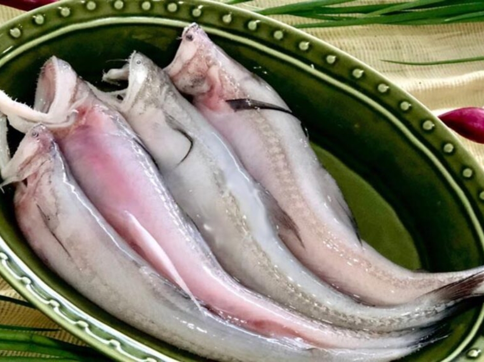 Loại c&aacute; da trơn, kh&ocirc;ng c&oacute; vảy, &iacute;t xương, nhiều ở v&ugrave;ng Thanh H&oacute;a, Nghệ An, H&agrave; Tĩnh: Nhiều chất m&agrave; lại rẻ- Ảnh 2.