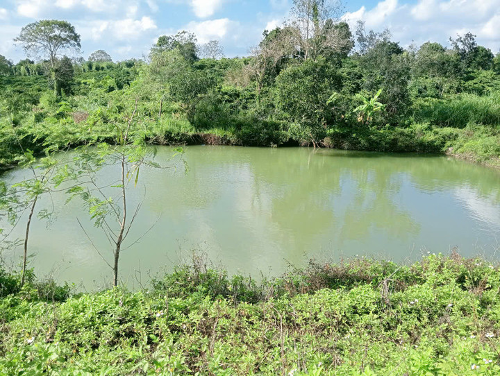 Ba trẻ nhỏ chết đuối thương t&acirc;m tại hồ tưới c&agrave; ph&ecirc; ở Đắk Lắk- Ảnh 2.