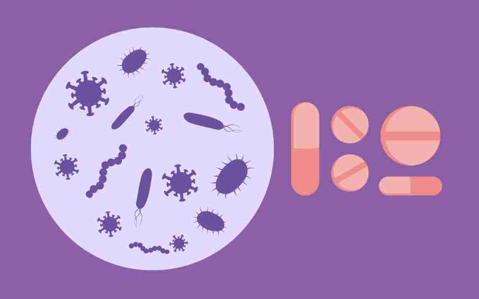 H&igrave;nh minh họa: Pepermpron