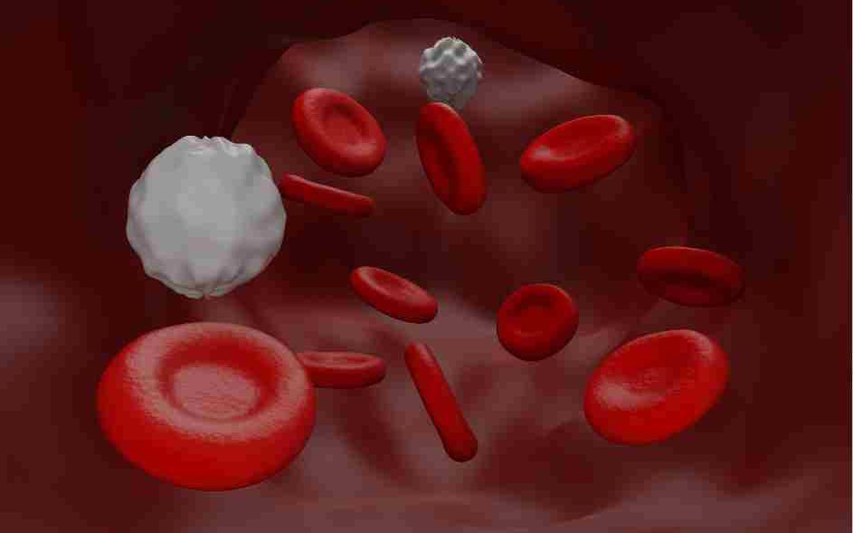 Ảnh minh họa: Canva